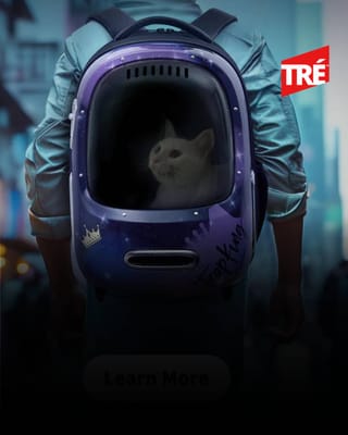 PETKIT: AI-Powered Pet Wellness Devices for Smarter Feeding, Monitoring, and Everyday Health Management