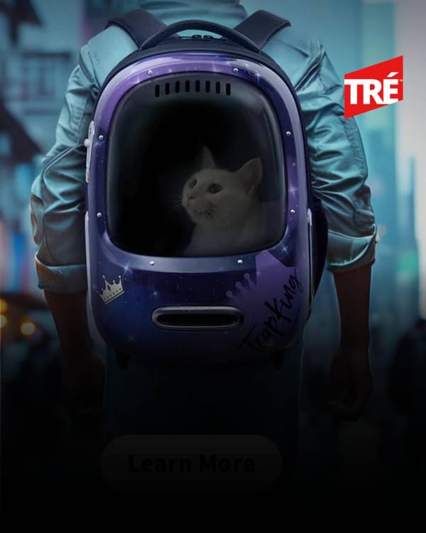 PETKIT: AI-Powered Pet Wellness Devices for Smarter Feeding, Monitoring, and Everyday Health Management