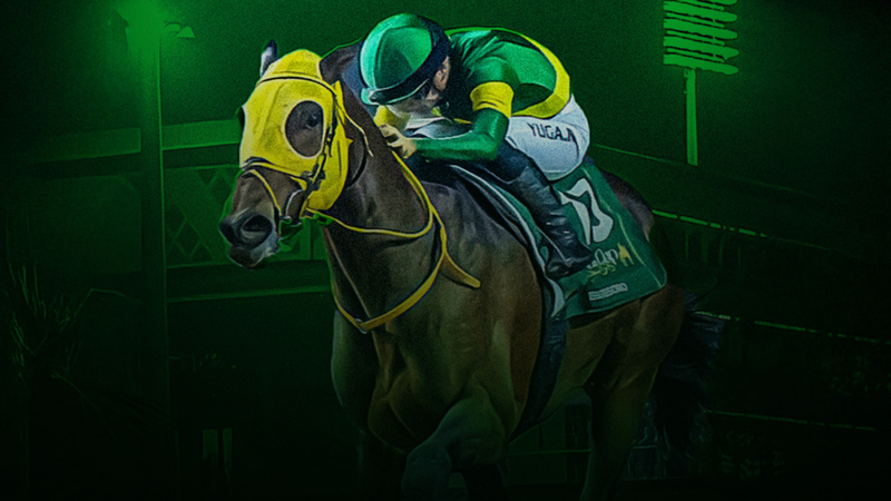 Experience the world’s most prestigious horse race—where tradition, luxury, and speed collide in an unforgettable spectacle.